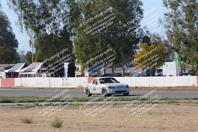 media/Oct-14-2023-CalClub SCCA (Sat) [[0628d965ec]]/Group 4/Race/